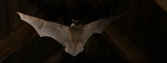 Vergunning nodig? Wij helpen u graag verder!